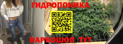 прущие грибы Нарткала