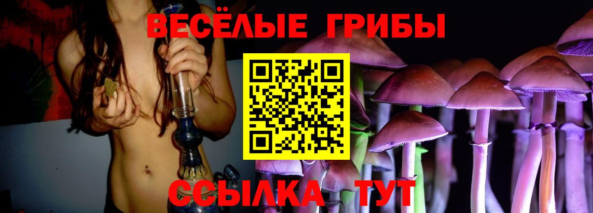 Галлюциногенные грибы мицелий Черногорск